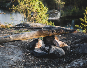  in the forest