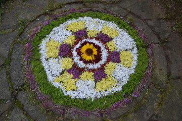 flower mosaic in the garden