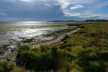 Wadden Sea at low tide on Amrum Island, North Sea, North Frisian Island, Schleswig-Holstein, Germany