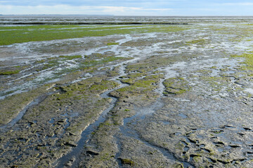 Wadden Sea at low tide on Amrum Island, North Sea, North Frisian Island, Schleswig-Holstein, Germany