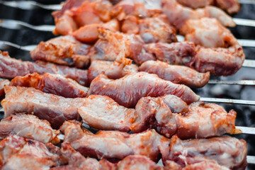 Close up of pieces of pork on skewers fried on the grill.