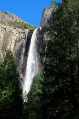 Fototapeta premium ヨセミテ国立公園のブライダルベール滝