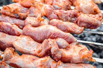 Close up of pieces of pork on skewers fried on the grill.