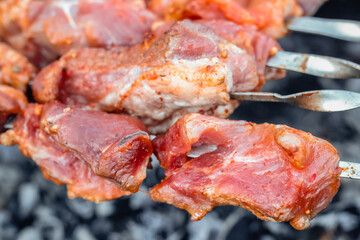 Close up of pieces of pork on skewers fried on the grill.