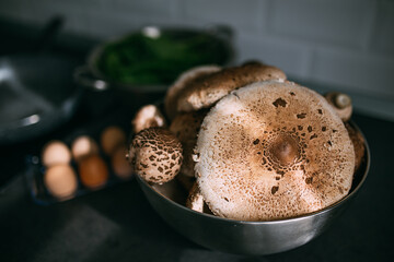 Parasol mushroom in natural light on a kitchen table getting prepared as a vegetarian delicious food.