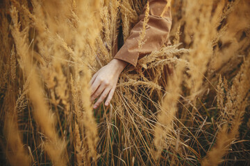 Stylish boho woman holding hand on grass and herbs in autumn field in warm sunset, carefree moment