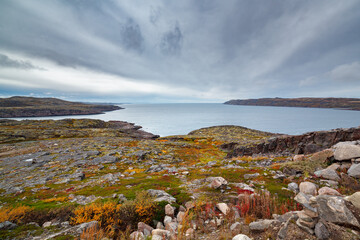 View of the sea bay and rocky shores. Far North, Barents Sea in Russia.