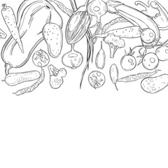 Vector background with   vegetables.