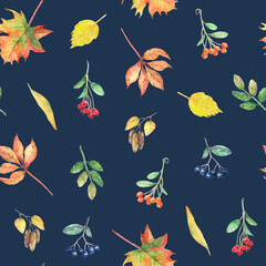 Watercolor seamless pattern with autumn elements. - 385362132