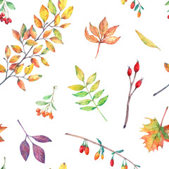 Watercolor seamless pattern with autumn elements. - 385362170