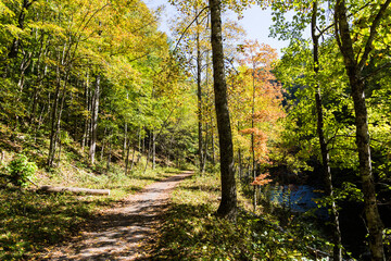 Fototapeta premium The Virginia Creeper Trail, the most popular bike route in the region. Abingdon, VA, USA