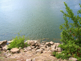 view of the rocky shore and the tree growing near the river