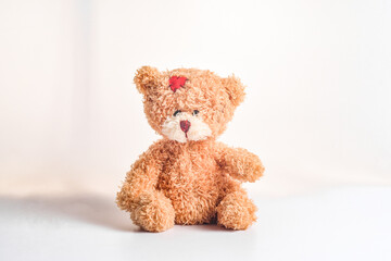 sad teddy bear isolated on white background