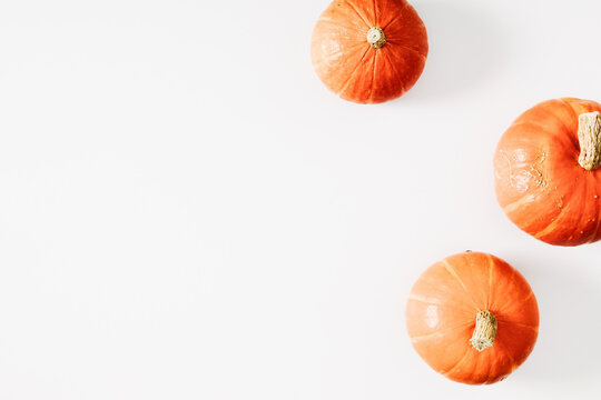 Autumn minimal composition. Pumpkin on white background. Halloween, thanksgiving day concept. Autumn, fall background. Flat lay, top view, copy space