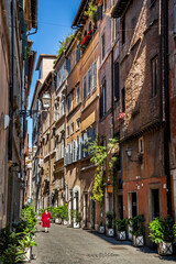 The Coronari street (Via dei Coronari) is a street in the historic center of Rome