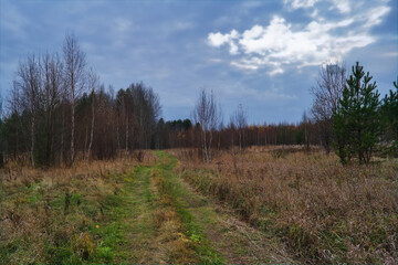 Fototapeta na wymiar Autumn landscape dirt road in the middle of a meadow with wilted grasses against the backdrop of a forest and a dramatic cloudy sky.