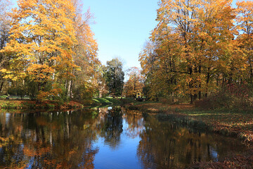October autumn park in Russia, lake with red leaves and reflection in the lake, Aleksandrovsky park, Tsarskoe Selo, Leningrad region. Autumn landscape, seasons.