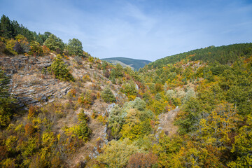 Amazing fall colors of the trees in the forest in a valley, surrounded by hills and distant mountain peak under a blue sky