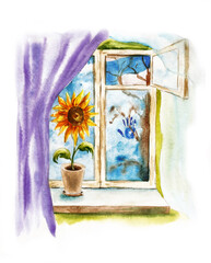 sunflower on the windowsill