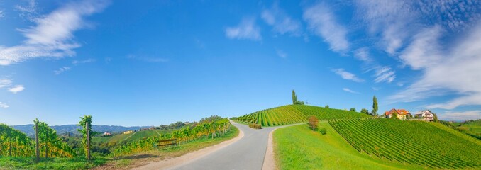 Vineyards along South Styrian Wine Road, a charming region on the border between Austria and...