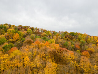 Obraz premium autumn trees in the mountains as they are bright colors with a cloudy gray sky. 