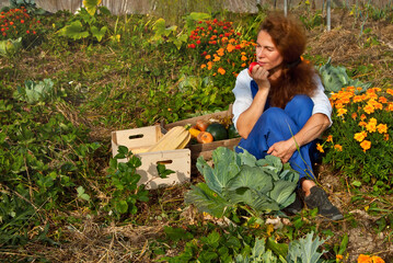 A woman in a blue jumpsuit collects vegetables in the garden. Onions, zucchini, sunflowers, tomatoes and corn in a wooden box.