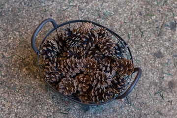 dried pine cone arranged in the basket