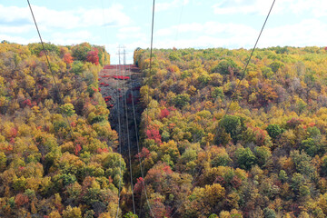 Pennsylvania power lines in the forest in autumn