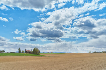 Fototapeta na wymiar Field in spring. Country landscape.