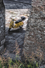 jaune en toscane, italie