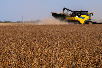 Fototapeta premium A farmer using a combine to harvest soy beans