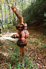 rusted valve in the middle of the woods 