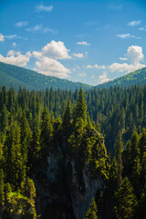 landscape with trees and clouds