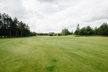 a beautiful flat green field against the background of a forest and a blue sky