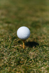 golf ball on a golf course