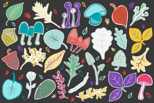 Autumn colorful floral collection of stikers with leaves, mashrooms, flowers and pine, doodle, cartoon style, vector illustration	