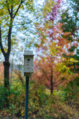 bat house in the forest