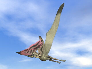 Thalassodromeus prehistoric bird flying in blue sky - 3D render © Elenarts