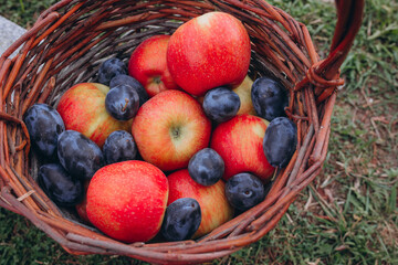 Fruits. Various fresh ripe fruits placed in a wicker basket of red apples and plums.