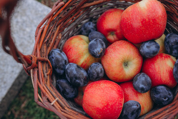 Fruits. Various fresh ripe fruits placed in a wicker basket of red apples and plums.