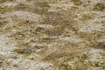 Cracked drying yellow clay. Soil texture in landscapel.
