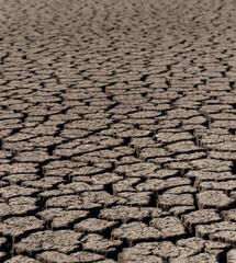 Earth cracked because of drought. The global shortage of water on the planet. Global warming concept. Dry cracks in the land.