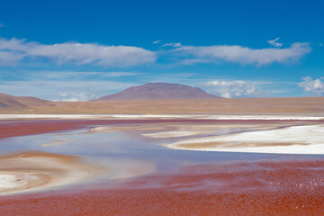 Laguna Colorada in Bolivia