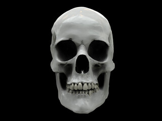 White shiny human skull on a black background