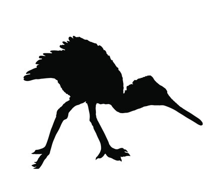 recommend clip art: Heron spoon bill vector silhouette illustration isolated on white background. Heron silhouette. Big bird fishing symbol.