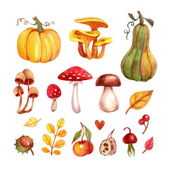 Autumn set with pumpkins, mushrooms and leaves. Drawn by hand with watercolors and colored pencils.
