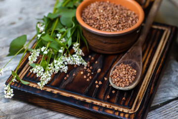 Raw uncooked buckwheat. Ingredients for gluten-free porridge. sprig of buckwheat with white flowers.