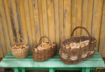 Fototapeta na wymiar Wicker baskets of mushrooms collected in the forest are on a bench by the village house. Concept of harvest autumn