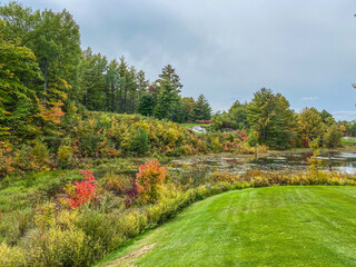 pond in fall