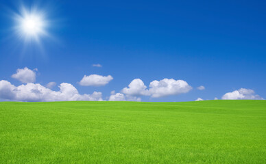 Fototapeta premium 緑の草原と雲と太陽